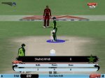 Cricket2005_021.jpg
