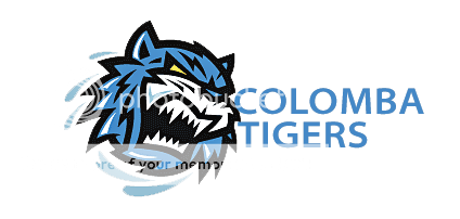 Tigers-1.png