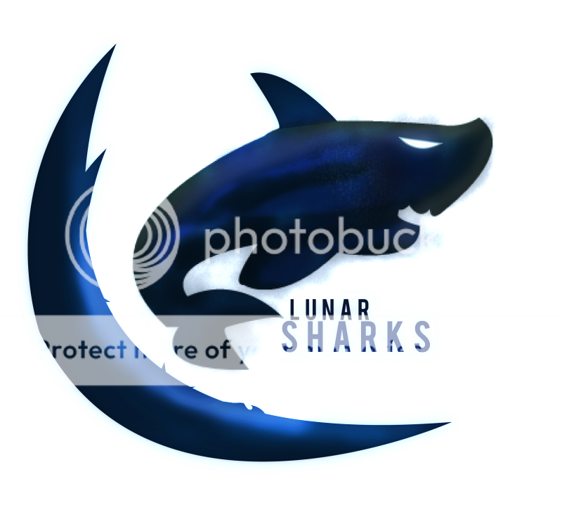 SHARKS.png