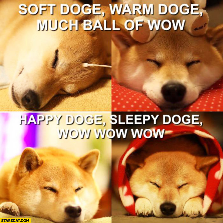 soft-doge-warm-doge-much-ball-of-wow-happy-doge-sleepy-doge-wow.jpg