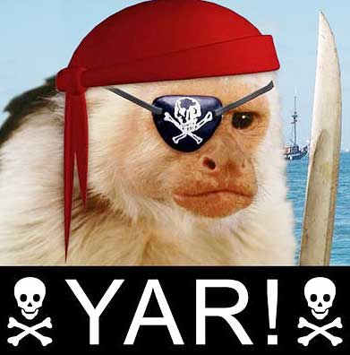 pirate-monkey.jpg