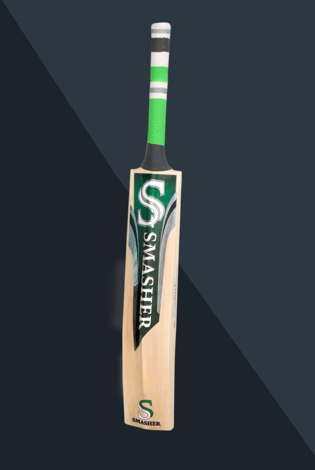 APIG-bat.jpg