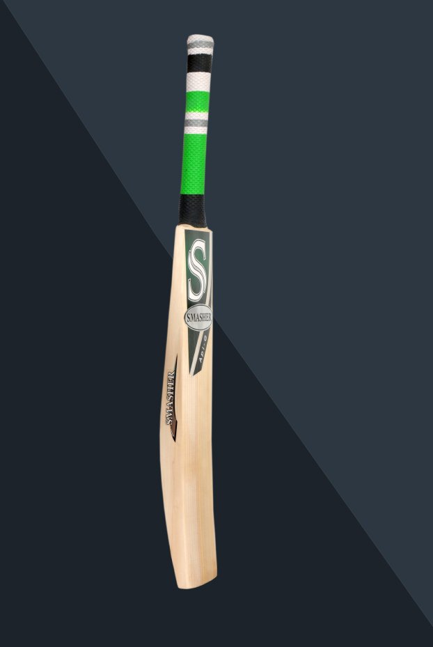 APIG-bat2.jpg