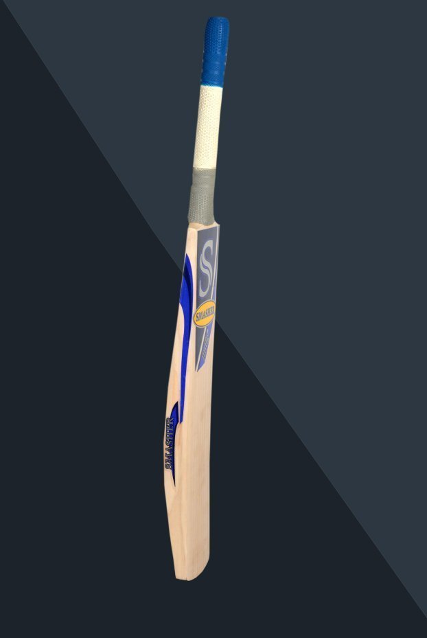 bully-bats21.jpg
