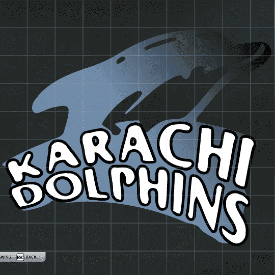 dolphins.png