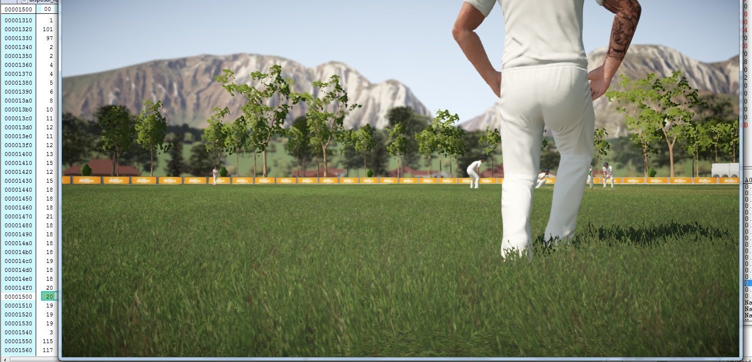 grass1.jpg