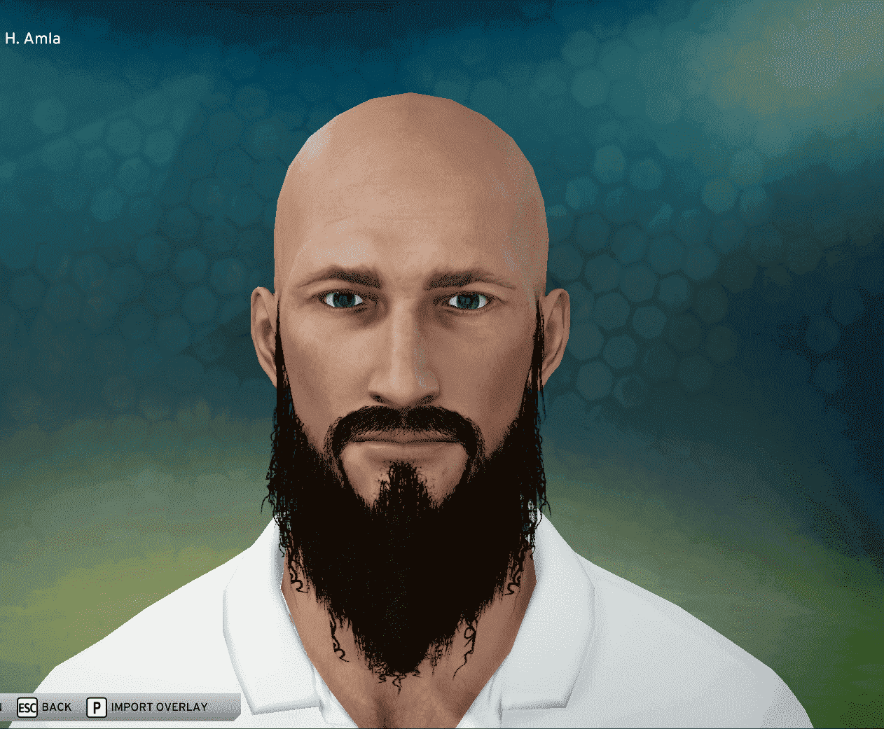 hashim amla.PNG