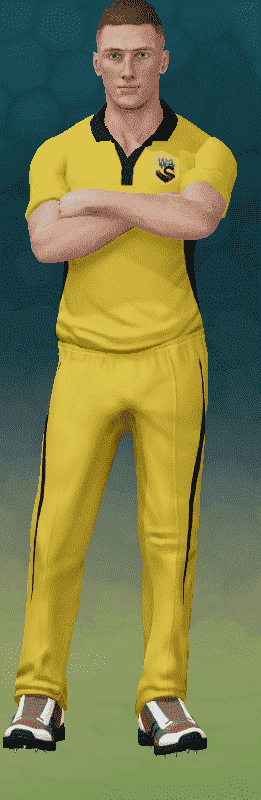 mc.PNG