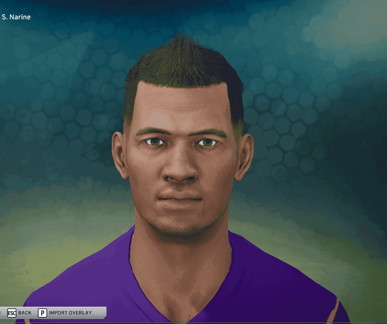 narine.PNG