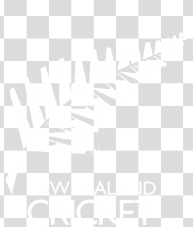sdf.PNG