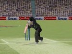 nz batting 01.jpg