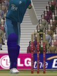 digicel stumps 1stlook.jpg