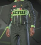 Pakistan 1996 CWC 4.jpg