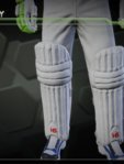 HS Pads White .jpg