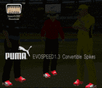 Puma evospeed Preview.png