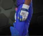 Gloves.jpg
