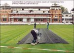 lords_pitch2.jpg