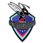 Stingers-Shield[Avatar].png