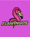 Manchester Flamingos.png