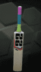 SS T20 WC edition2.PNG