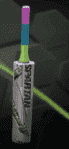MSD T20WC BAT UPDATED.PNG
