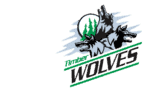 team-logo-design-timber-wolves-page.png