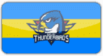 !!! Delhi Thunderbirds.png