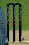 Stumps.jpg