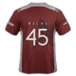 bil.png