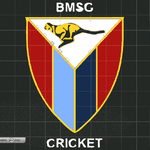bmsg.png