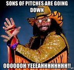 sons-of-pitches-are-going-down-ooooooh-yeeeahhhhhhhh.jpg