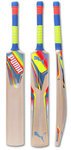 puma-evo-speed-EW-cricket-bat.jpg