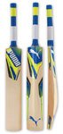 Puma evoPOWER 4-cricket-bat.jpg