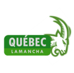 Logo Quebec.png