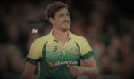 STARC.PNG