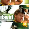 594fb177456cf35ee9cce72fc8d2bf84--david-warner-icons.jpg