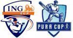 pura and ing logos.jpg
