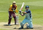 ing stumps 2.jpg