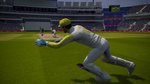 Cricket 19_20190530052639.jpg