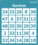 Survivor.png