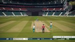 cricket 19 bug.jpg