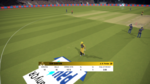 Cricket 19 2_24_2020 5_46_49 PM.png