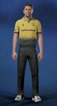 t20 kit.png