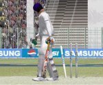 Pepsi test stumps 1.jpg
