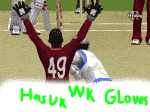 hasun wk gloves.PNG