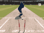 Harmison Bowled.png