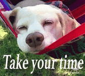 f8679b4a8792cdd6b999932b53844998.gif