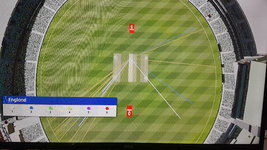 Cricket_22.jpg