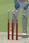 new-castle-stumps.jpg