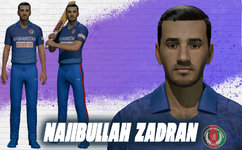 Najibullah Zadran.jpg